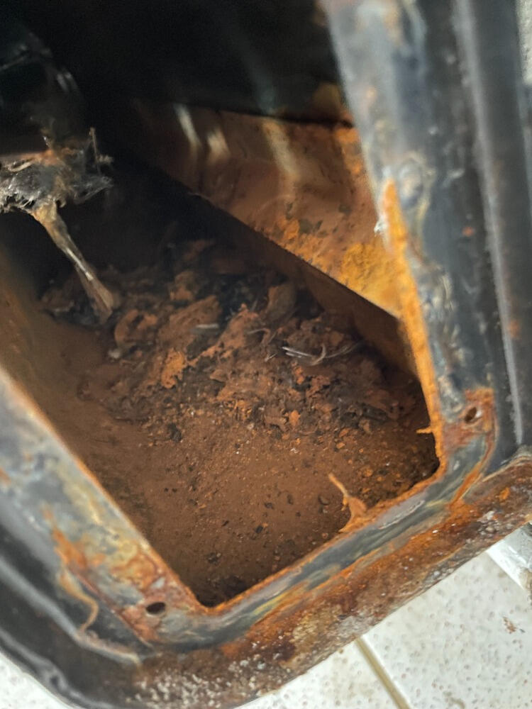 Z výměníku podokenního topidla se stal ptačí hřbitov. Příčina: neúdržba. I když servisy majitel vzorně třicet let platil.